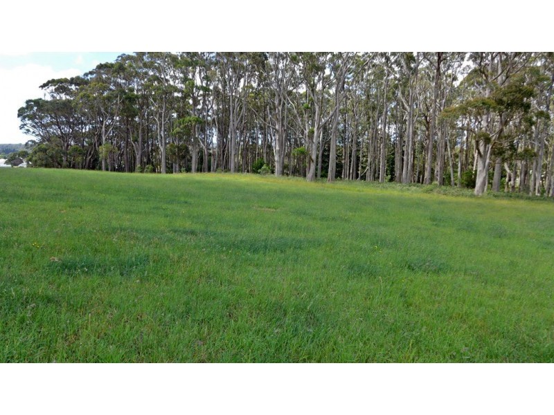 Lot 4 Chaplin Road, Northdown TAS 7307