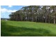Lot 4 Chaplin Road, Northdown TAS 7307
