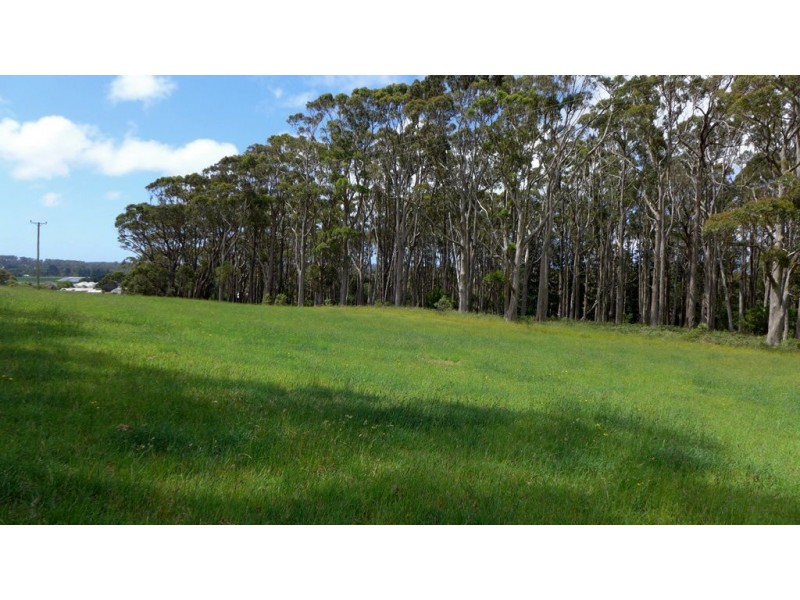 Lot 4 Chaplin Road, Northdown TAS 7307