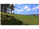 Lot 4 Chaplin Road, Northdown TAS 7307