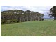 Lot 4 Chaplin Road, Northdown TAS 7307