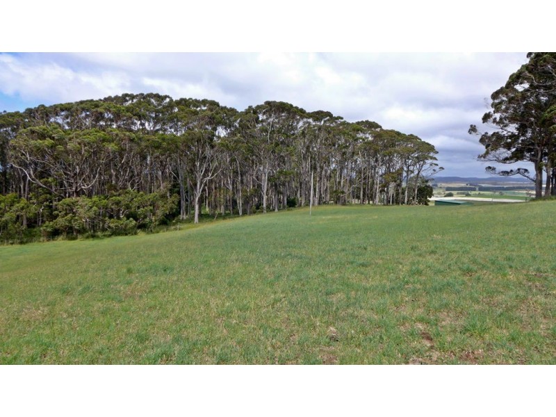 Lot 4 Chaplin Road, Northdown TAS 7307