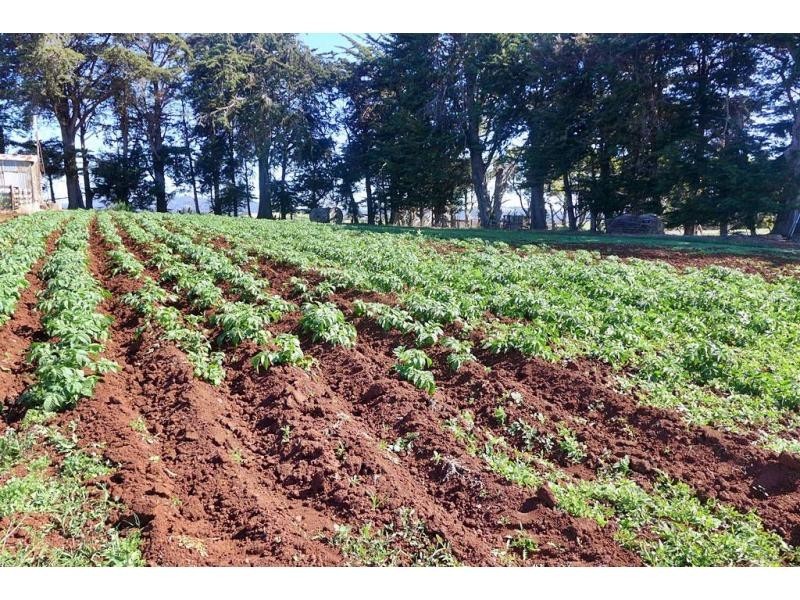220A Torquay Road, East Devonport TAS 7310