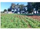 220A Torquay Road, East Devonport TAS 7310