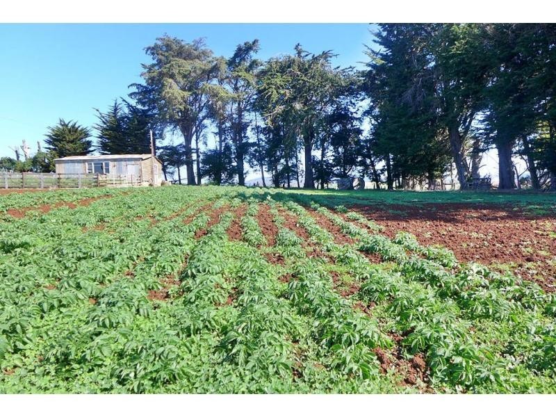 220A Torquay Road, East Devonport TAS 7310