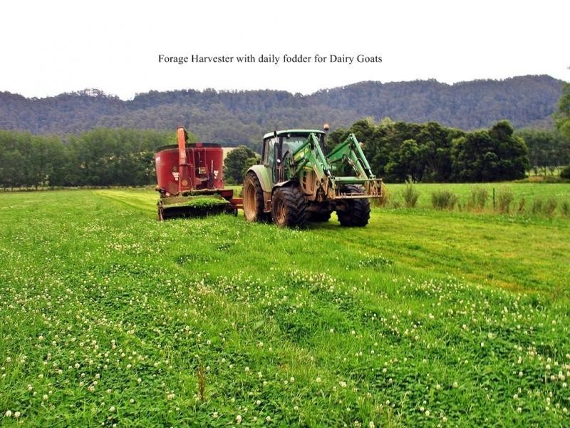 Gunns Plains TAS 7315