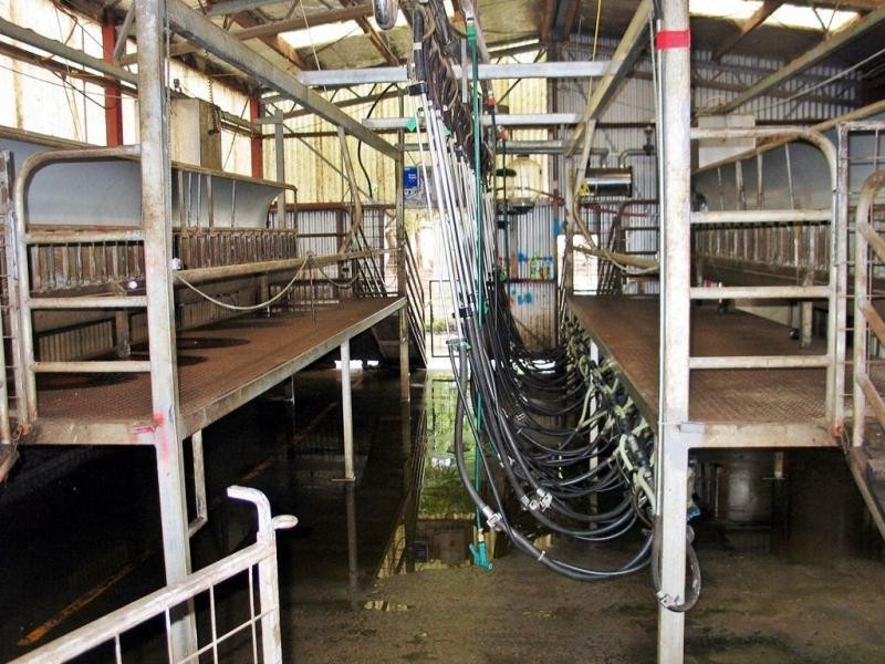 Gunns Plains TAS 7315