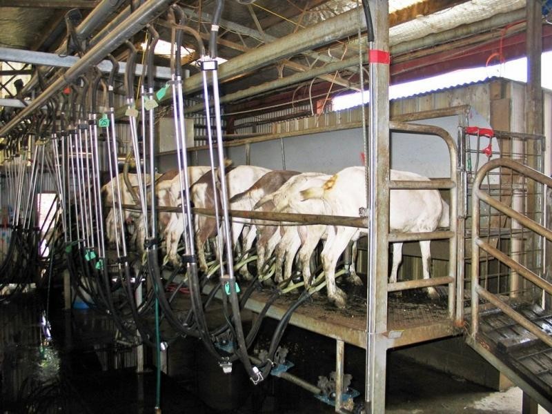 Gunns Plains TAS 7315