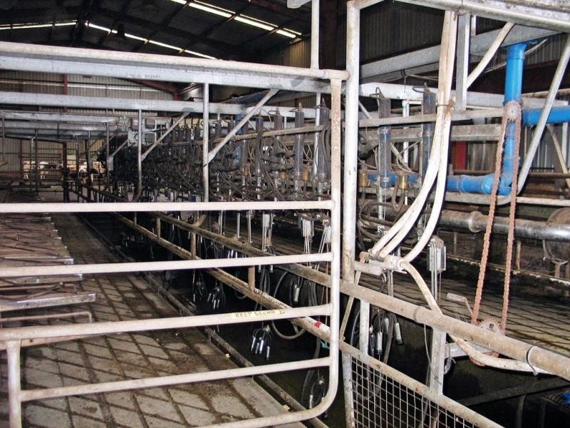 Gunns Plains TAS 7315