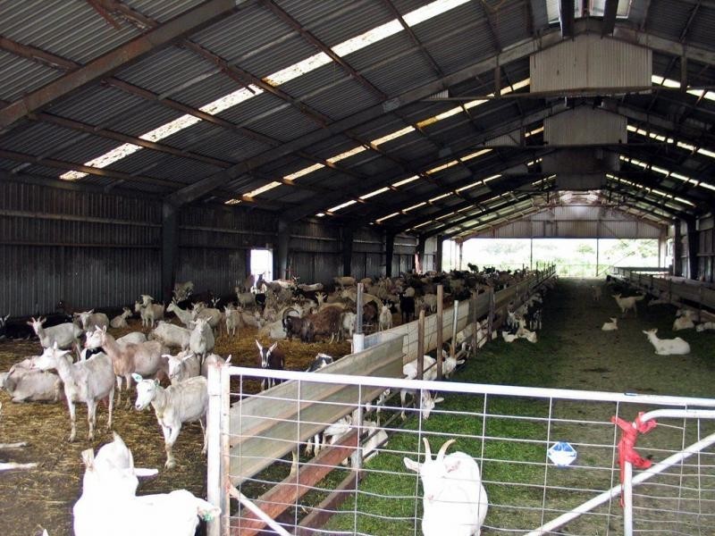 Gunns Plains TAS 7315