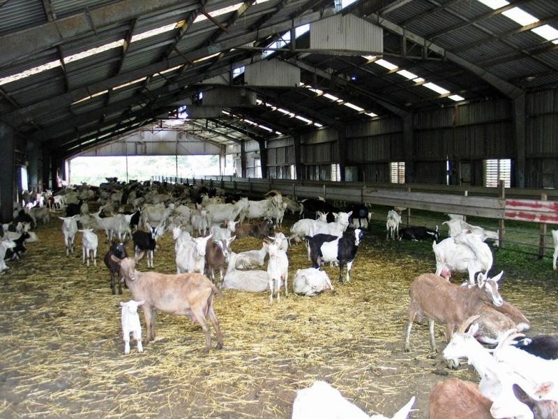 Gunns Plains TAS 7315