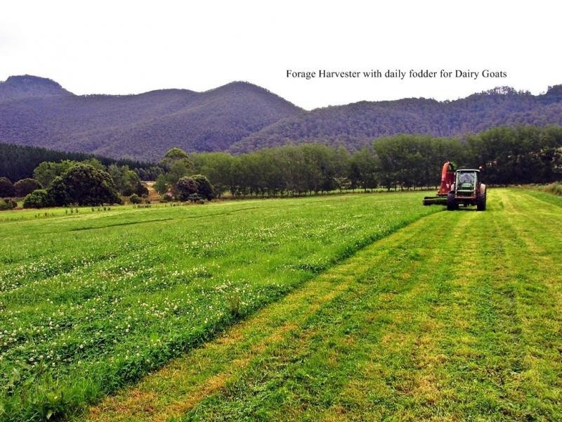 Gunns Plains TAS 7315