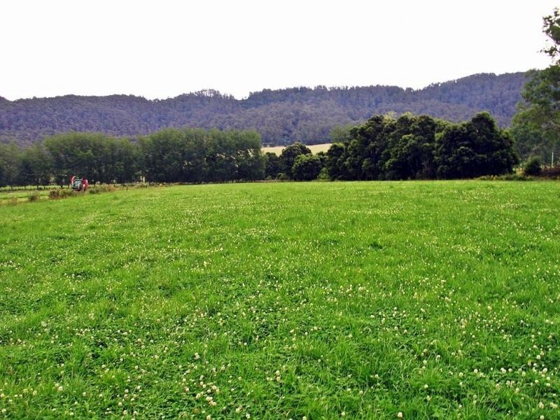 Gunns Plains TAS 7315