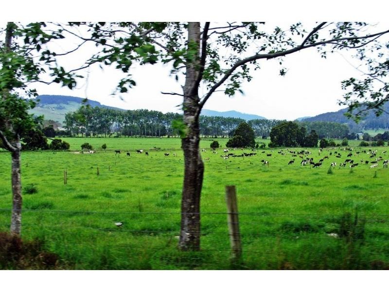 Gunns Plains TAS 7315