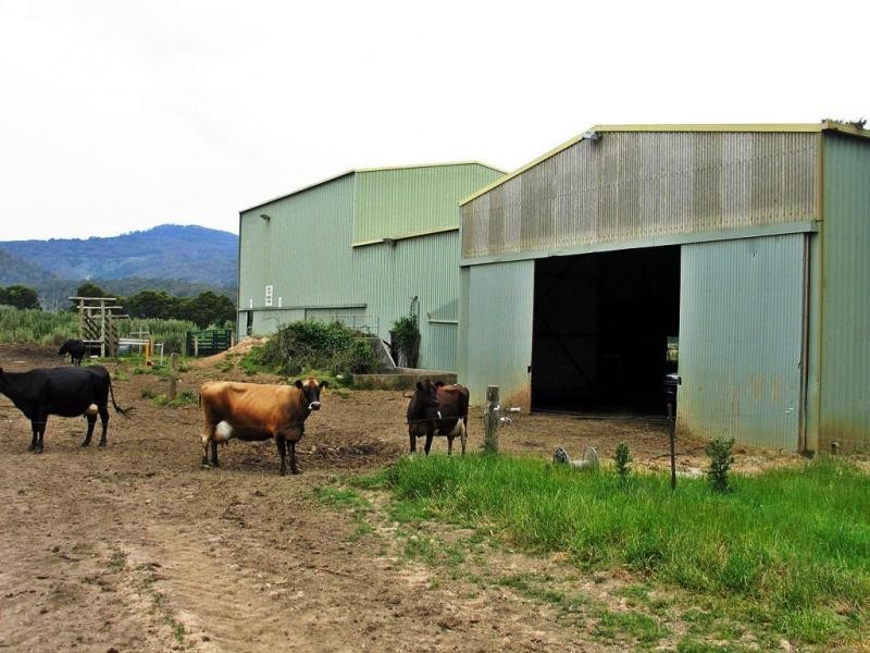 Gunns Plains TAS 7315