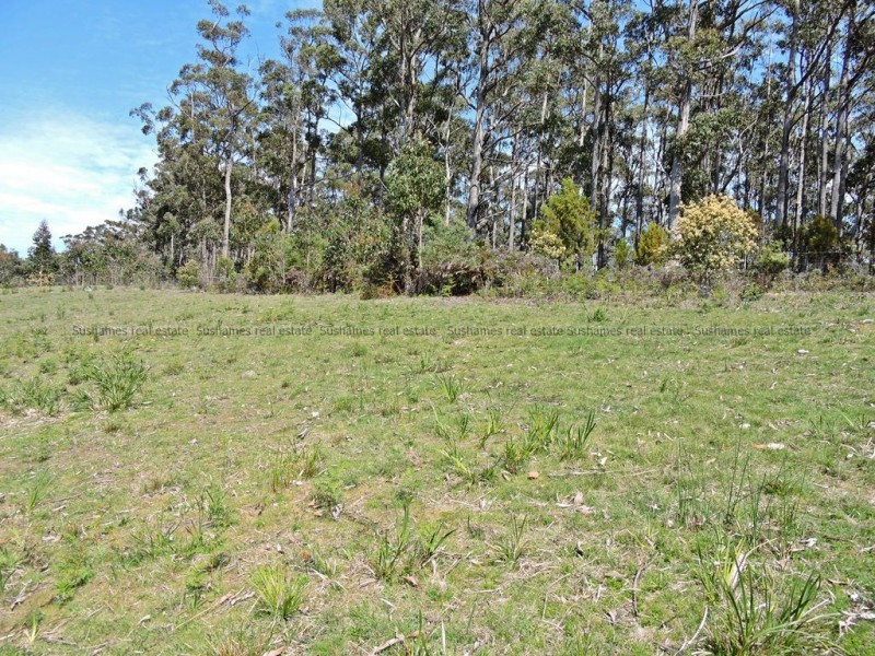 Lot 7 Mangana Drive, Tugrah TAS 7310