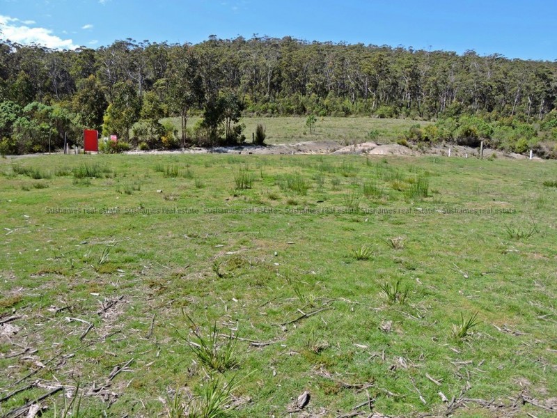 Lot 7 Mangana Drive, Tugrah TAS 7310