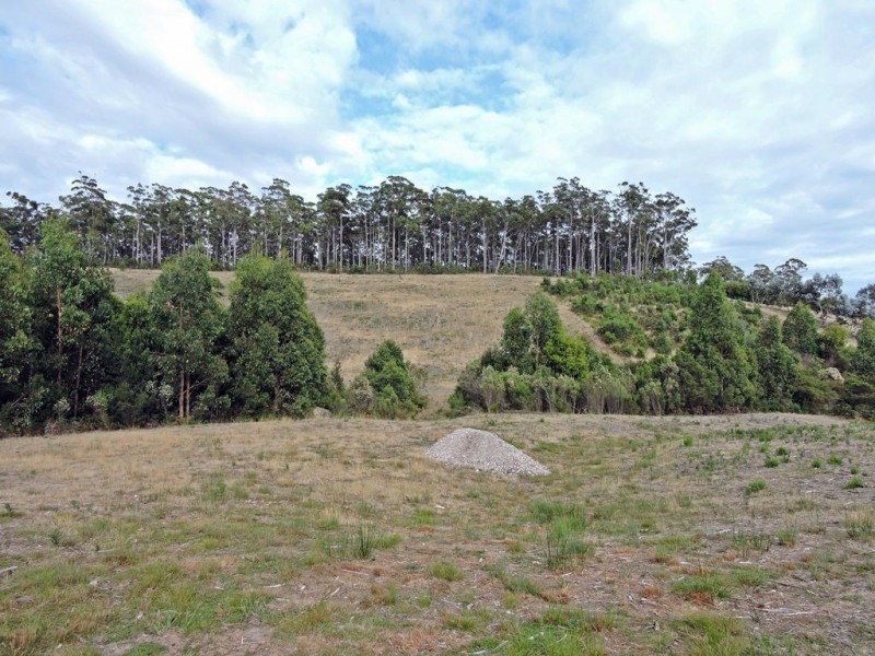 Lot 6 Mangana Drive, Tugrah TAS 7310