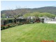 Merseylea TAS 7305