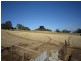 1 Pine Road, Penguin TAS 7316