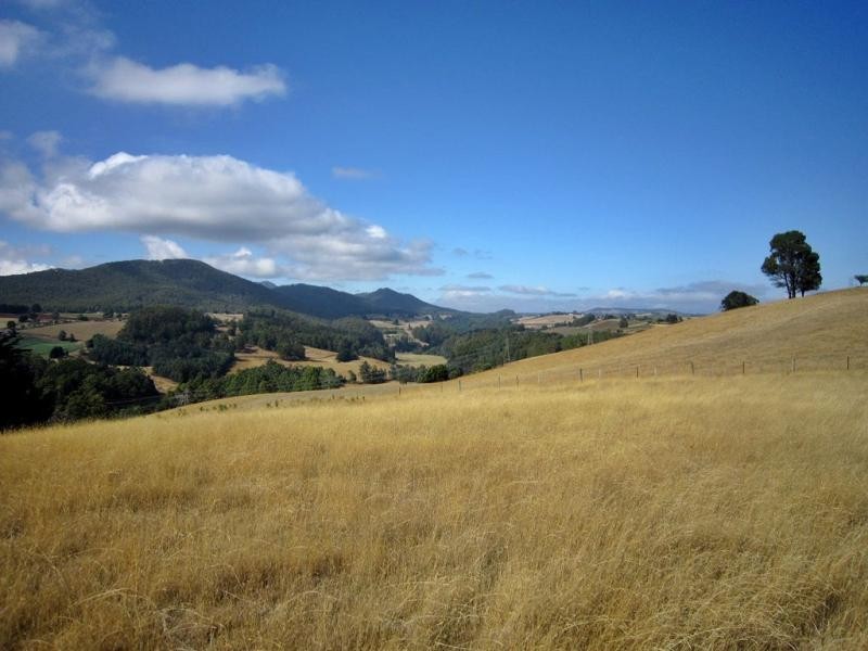 1 Pine Road, Penguin TAS 7316