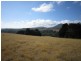 1 Pine Road, Penguin TAS 7316