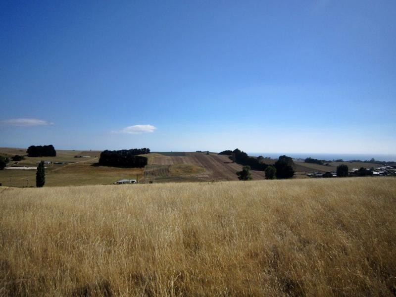 1 Pine Road, Penguin TAS 7316