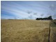 1 Pine Road, Penguin TAS 7316