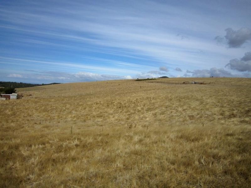 1 Pine Road, Penguin TAS 7316