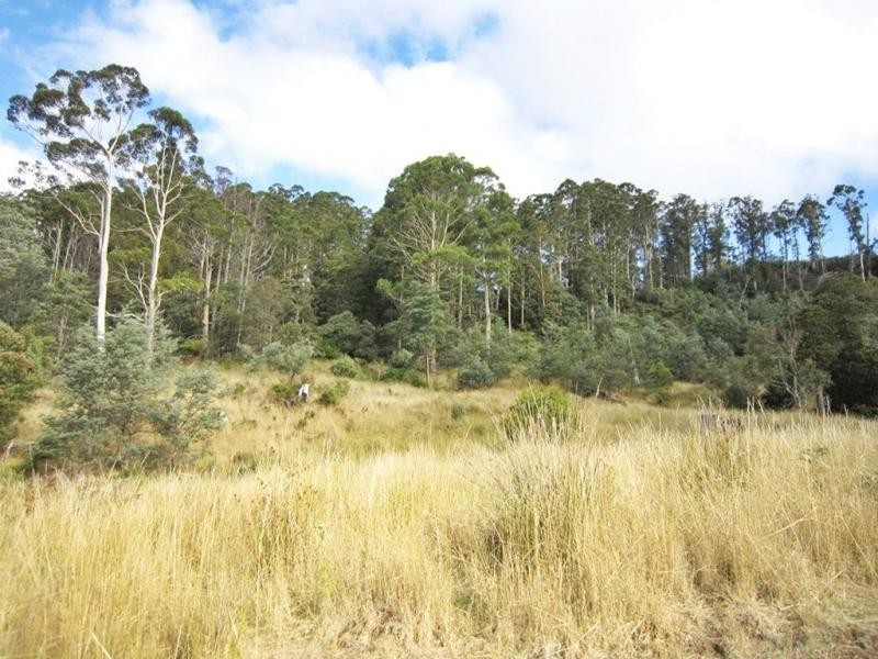 594 Spellmans Road, Wilmot TAS 7310