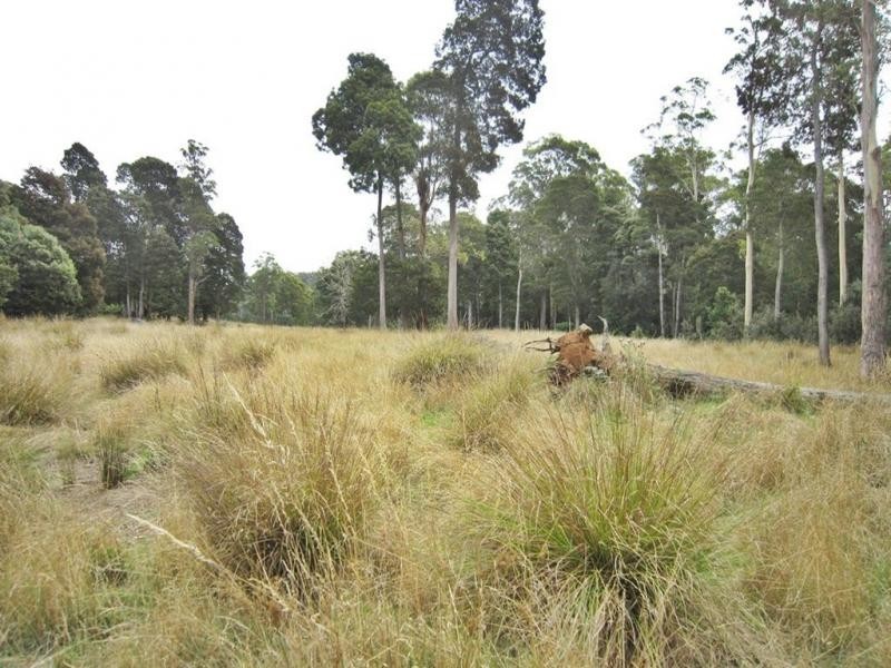 594 Spellmans Road, Wilmot TAS 7310