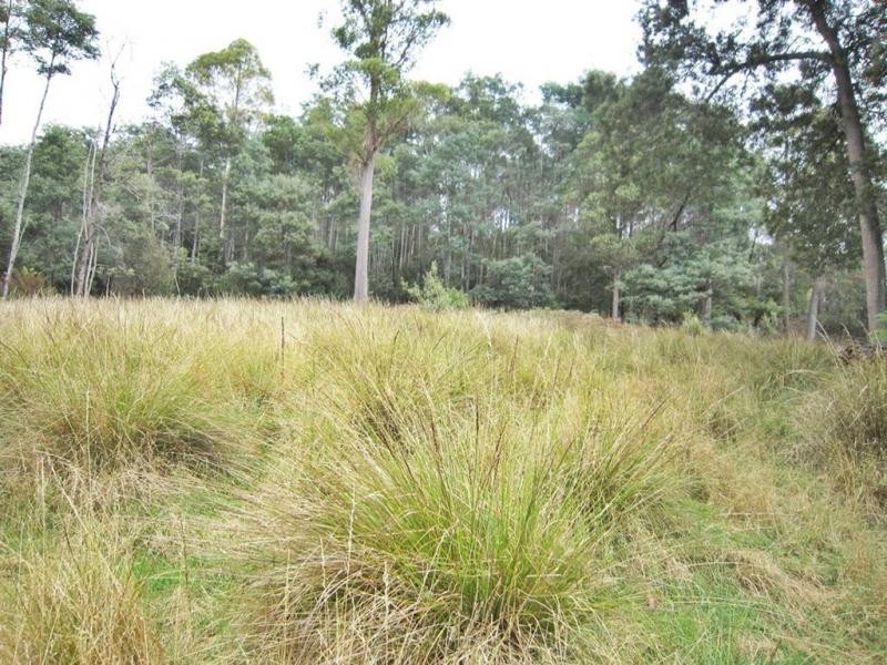 594 Spellmans Road, Wilmot TAS 7310