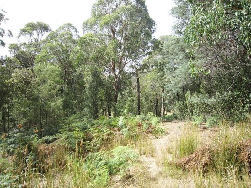 594 Spellmans Road, Wilmot TAS 7310