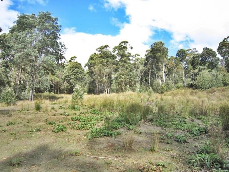 594 Spellmans Road, Wilmot TAS 7310