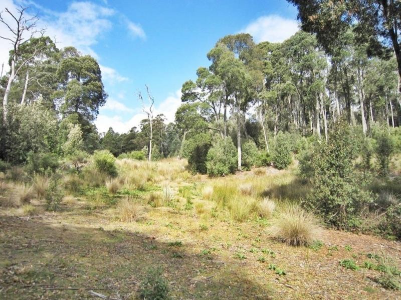 594 Spellmans Road, Wilmot TAS 7310