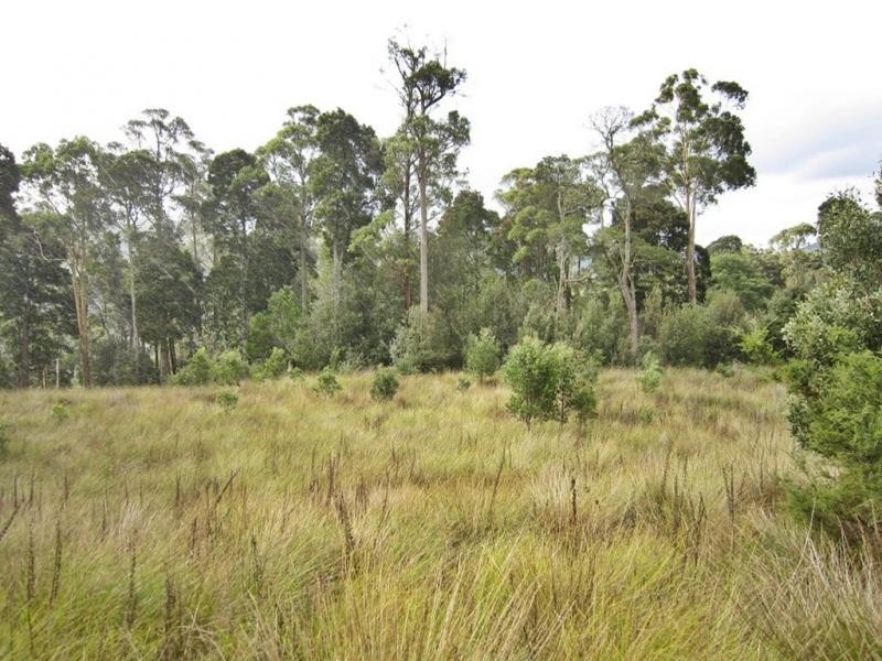 594 Spellmans Road, Wilmot TAS 7310