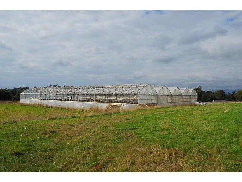 199 Bakers Lane, Northdown TAS 7307