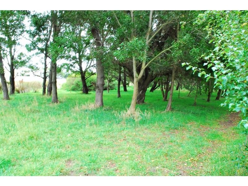 199 Bakers Lane, Northdown TAS 7307