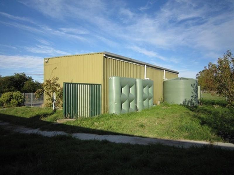 Tarleton TAS 7310