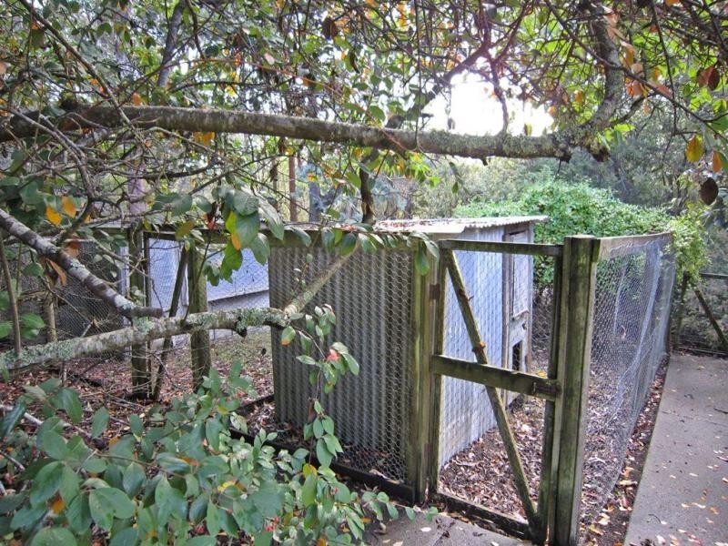 1602 Wilmot Road, Lower Wilmot TAS 7310