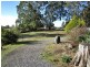 1602 Wilmot Road, Lower Wilmot TAS 7310