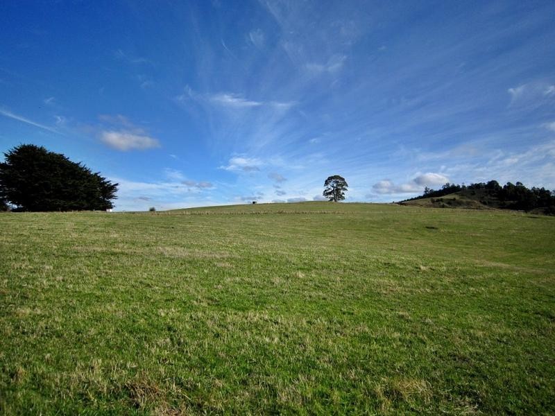 440 Back Road, Wilmot TAS 7310