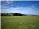 440 Back Road, Wilmot TAS 7310