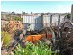 46 Richardson Street, West Ulverstone TAS 7315