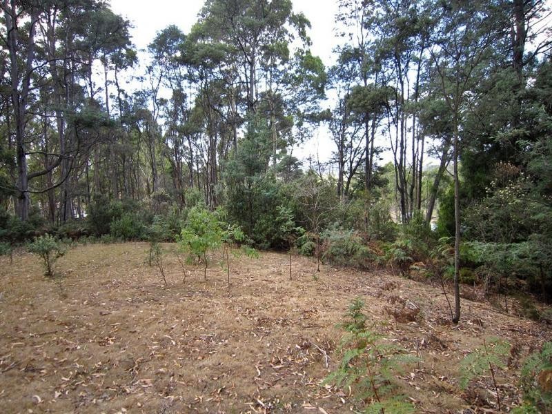 70 Clayton Drive, Spreyton TAS 7310