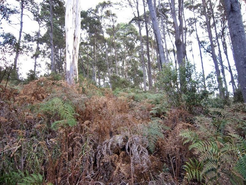 70 Clayton Drive, Spreyton TAS 7310