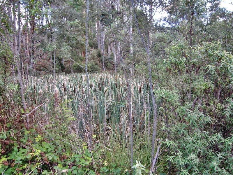 70 Clayton Drive, Spreyton TAS 7310