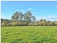 Gawler TAS 7315