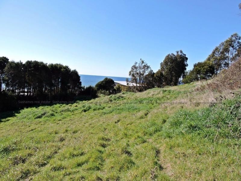1 Midway Lane, Sulphur Creek TAS 7316