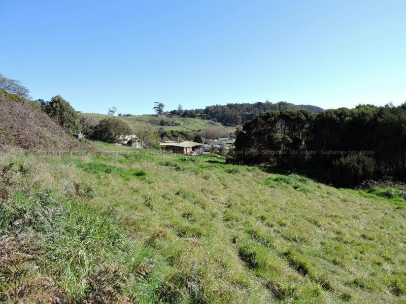 1 Midway Lane, Sulphur Creek TAS 7316